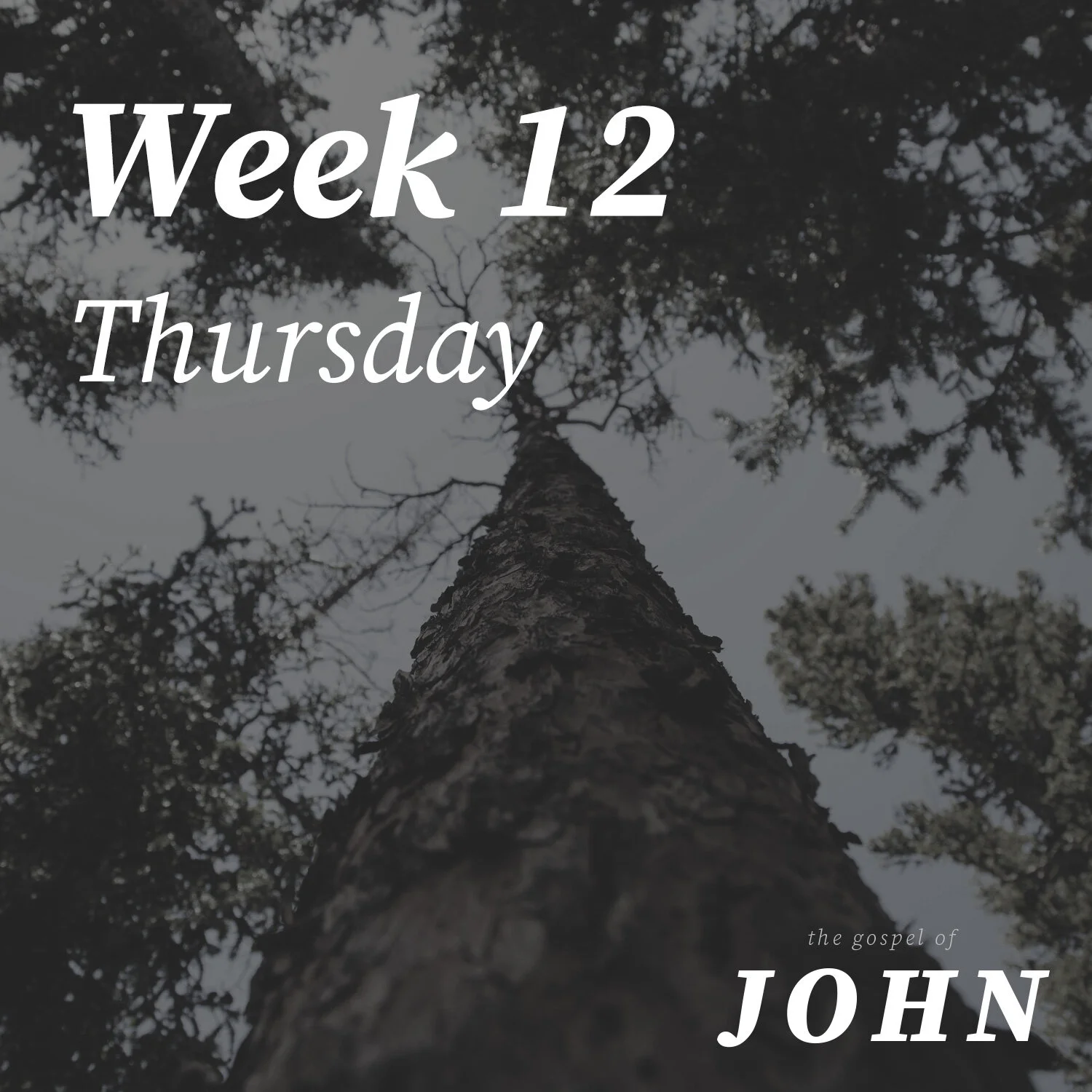 Thursday | Week 12