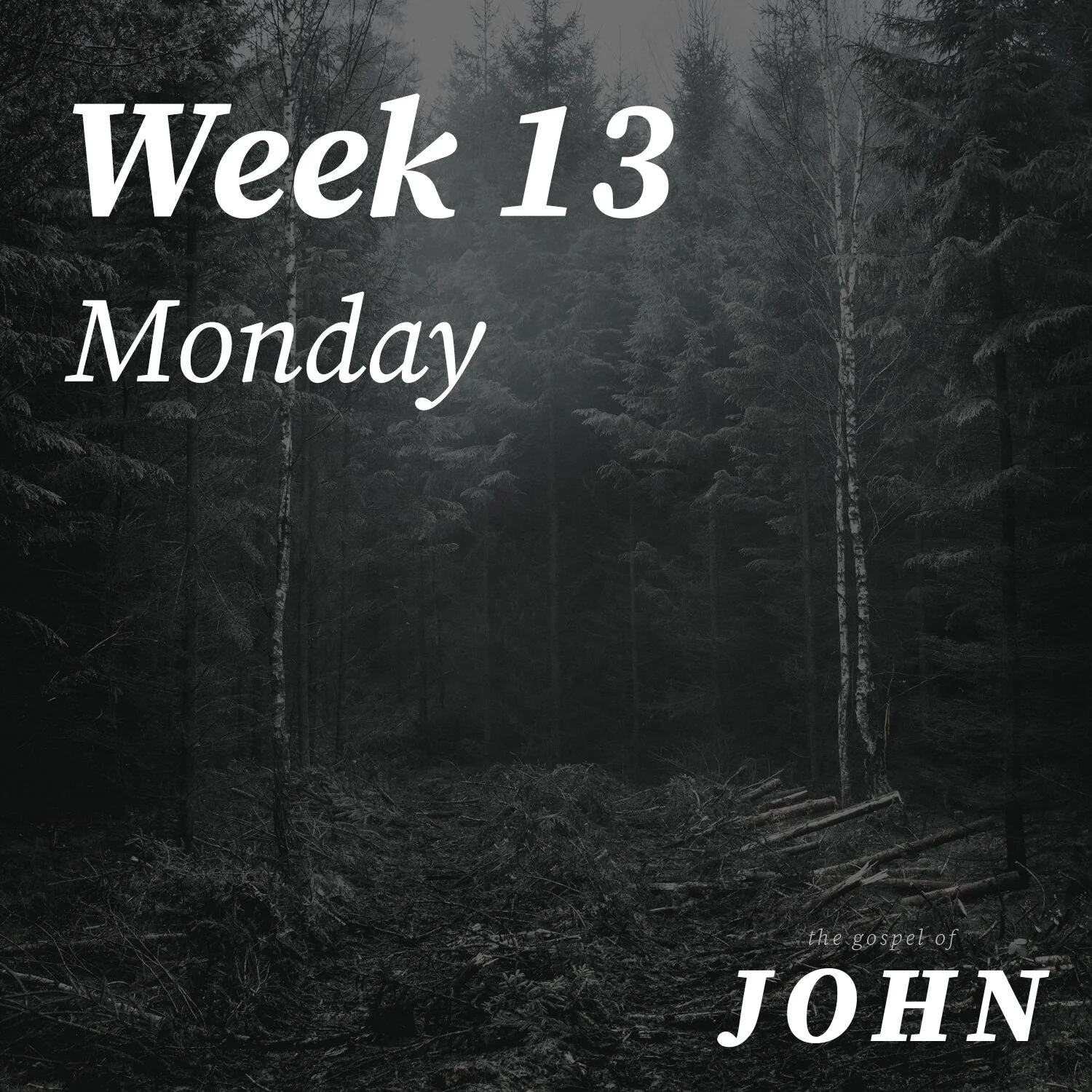 Monday | Week 13