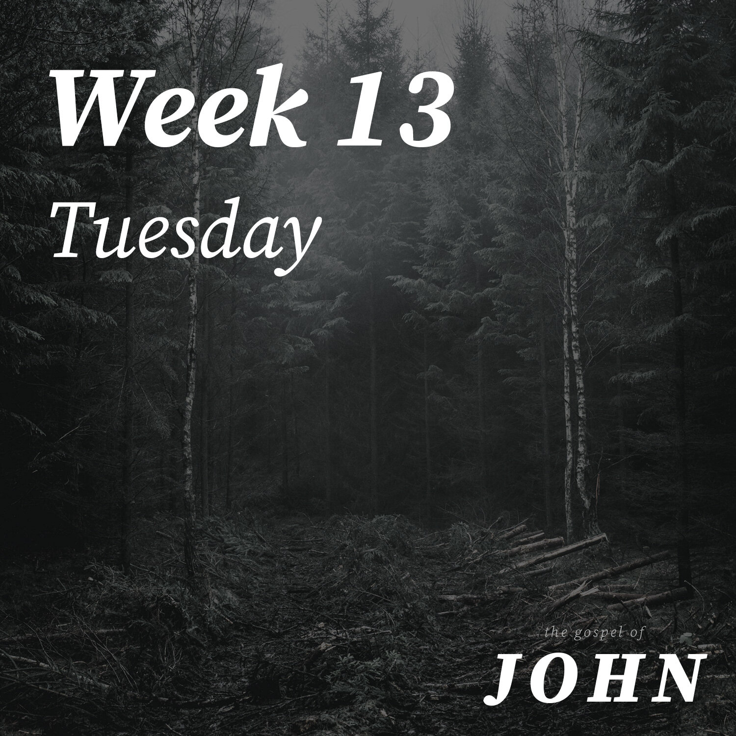 Tuesday | Week 13