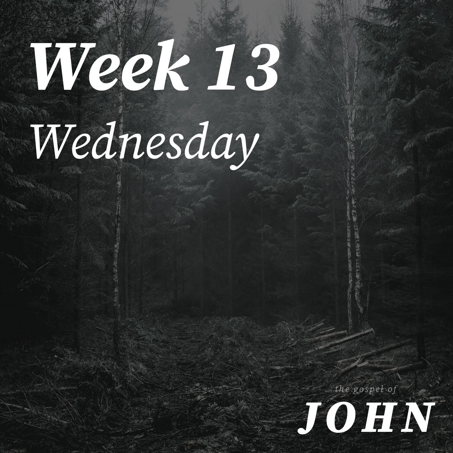 Wednesday | Week 13