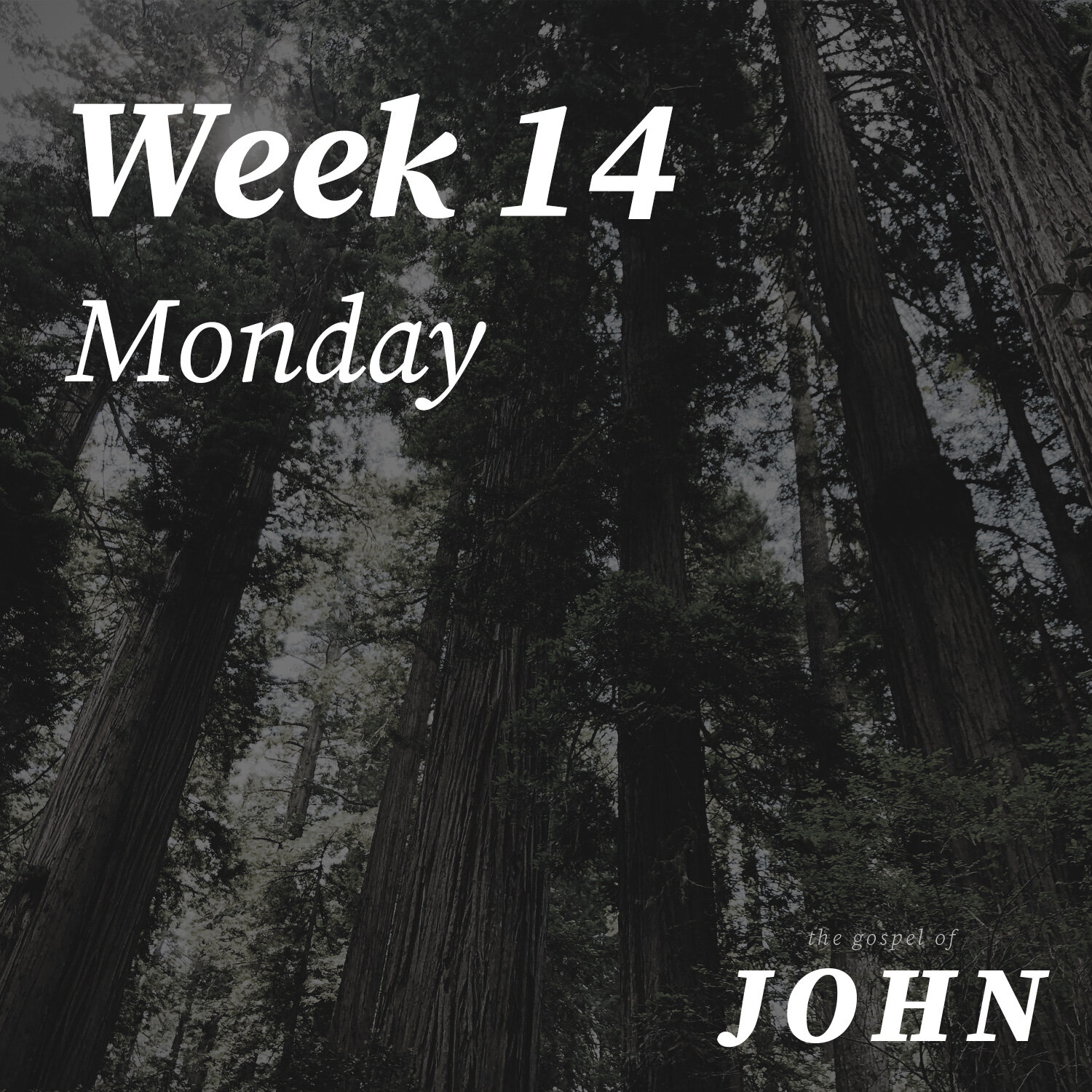 Monday | Week 14