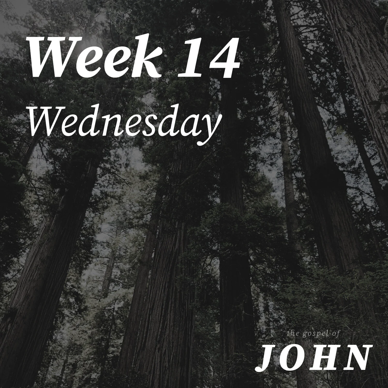 Wednesday | Week 14