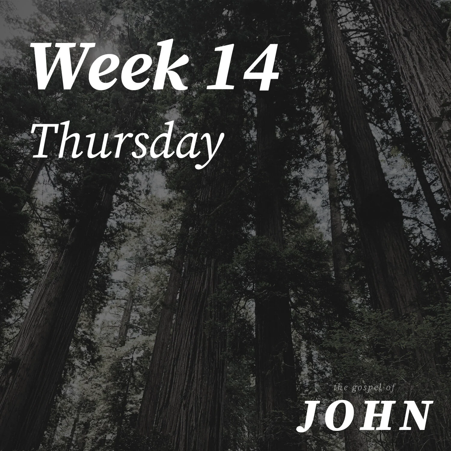 Thursday | Week 14