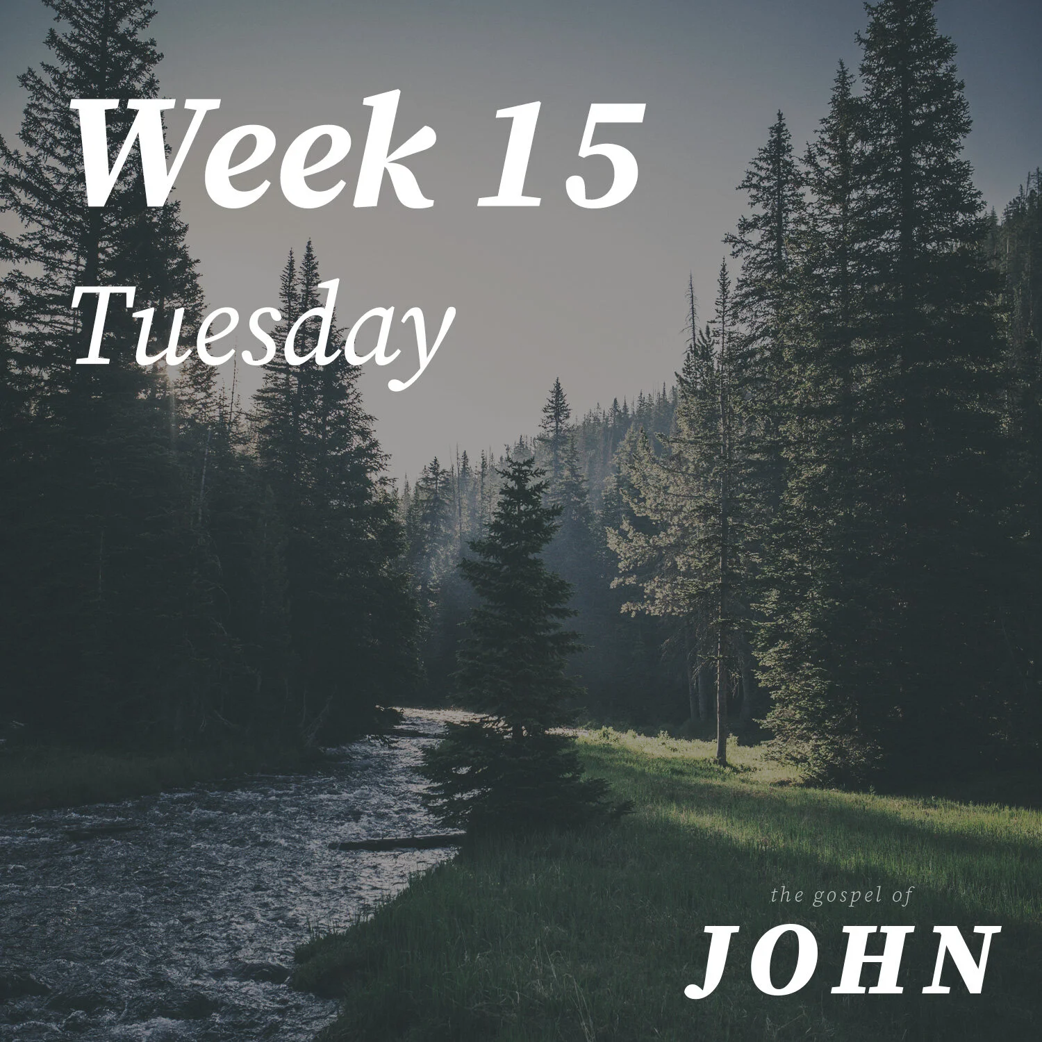 Tuesday | Week 15