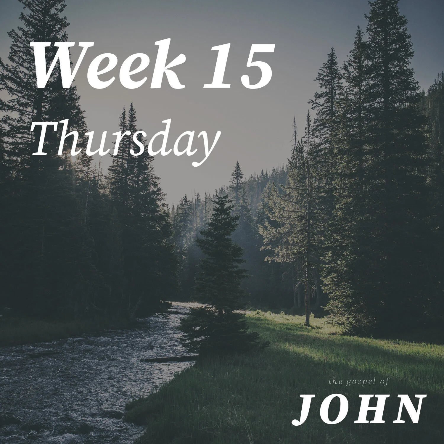 Thursday | Week 15