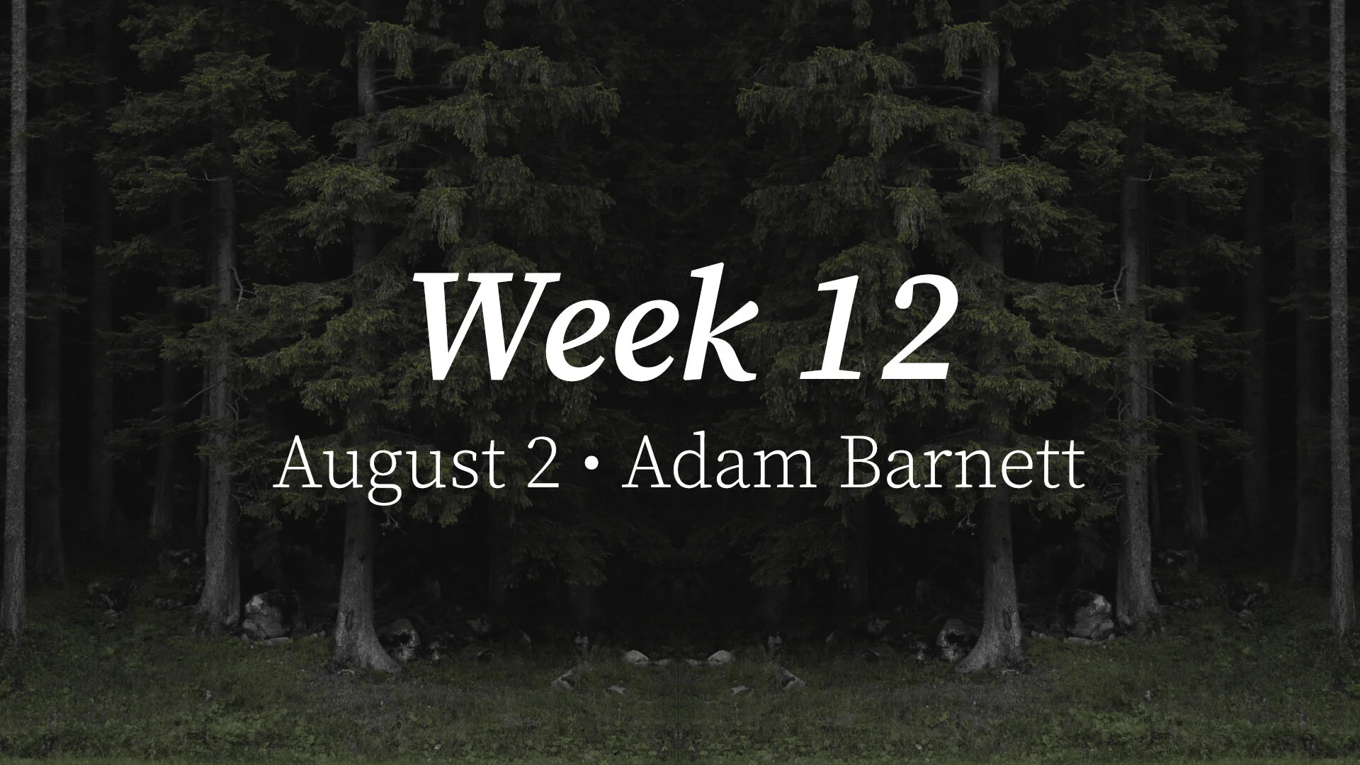 The Vine & The Branch