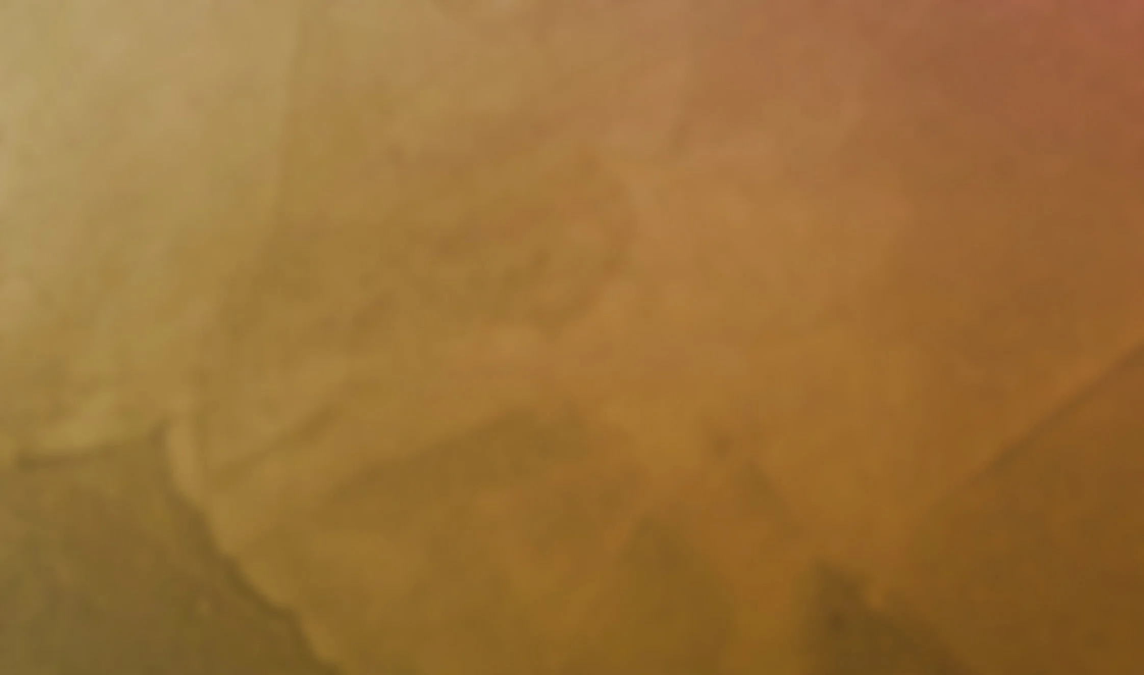 yellow.jpg