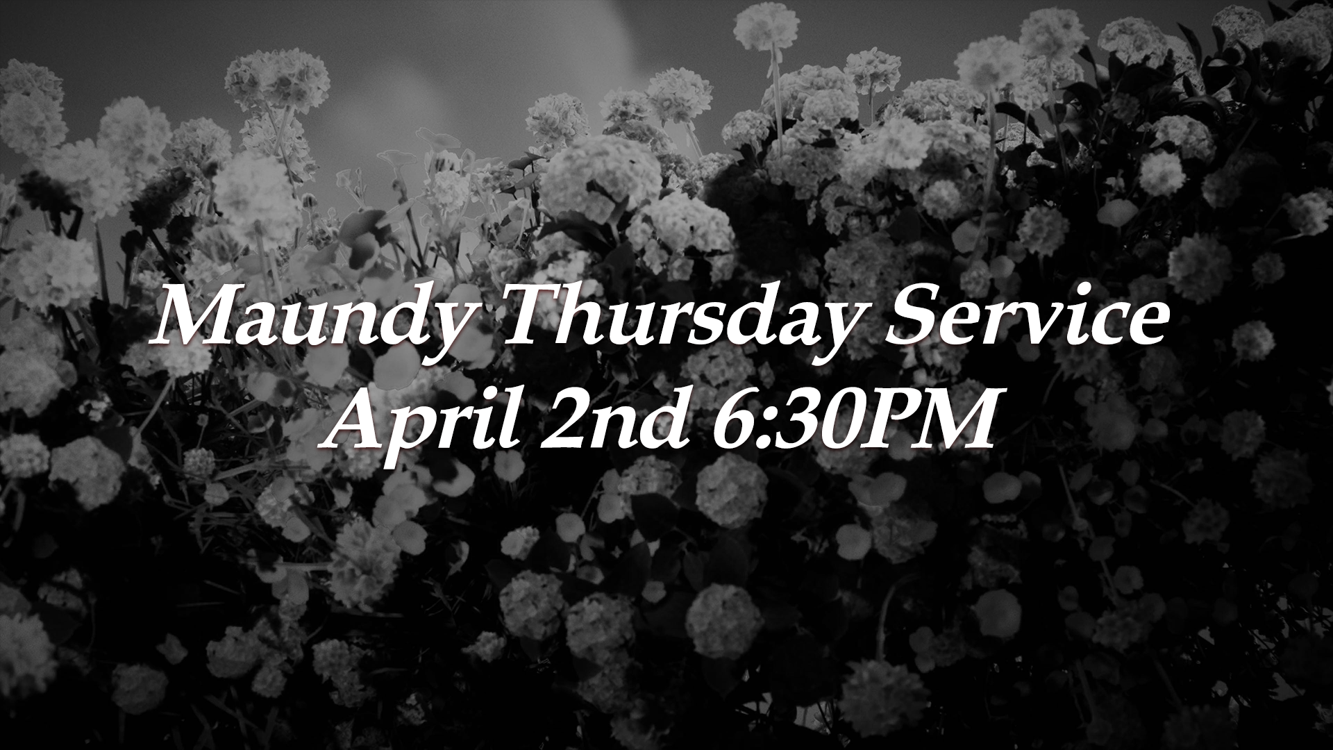 Manudy Thursday Graphic.png