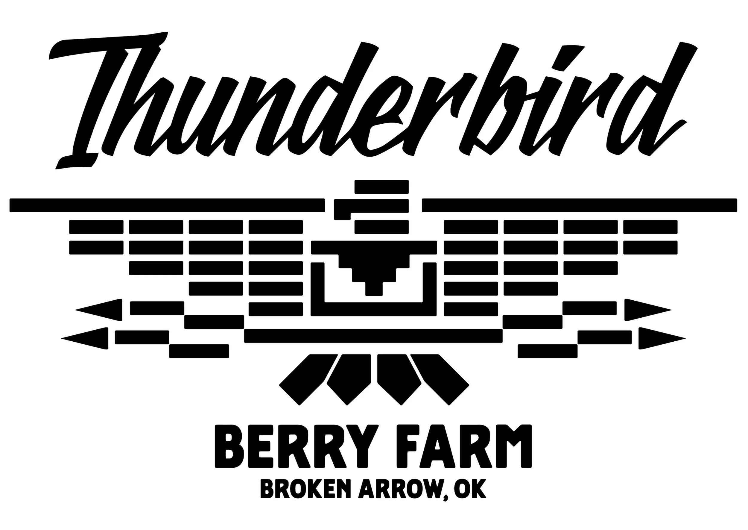 Thunderbird Barry Farm b&W.jpg