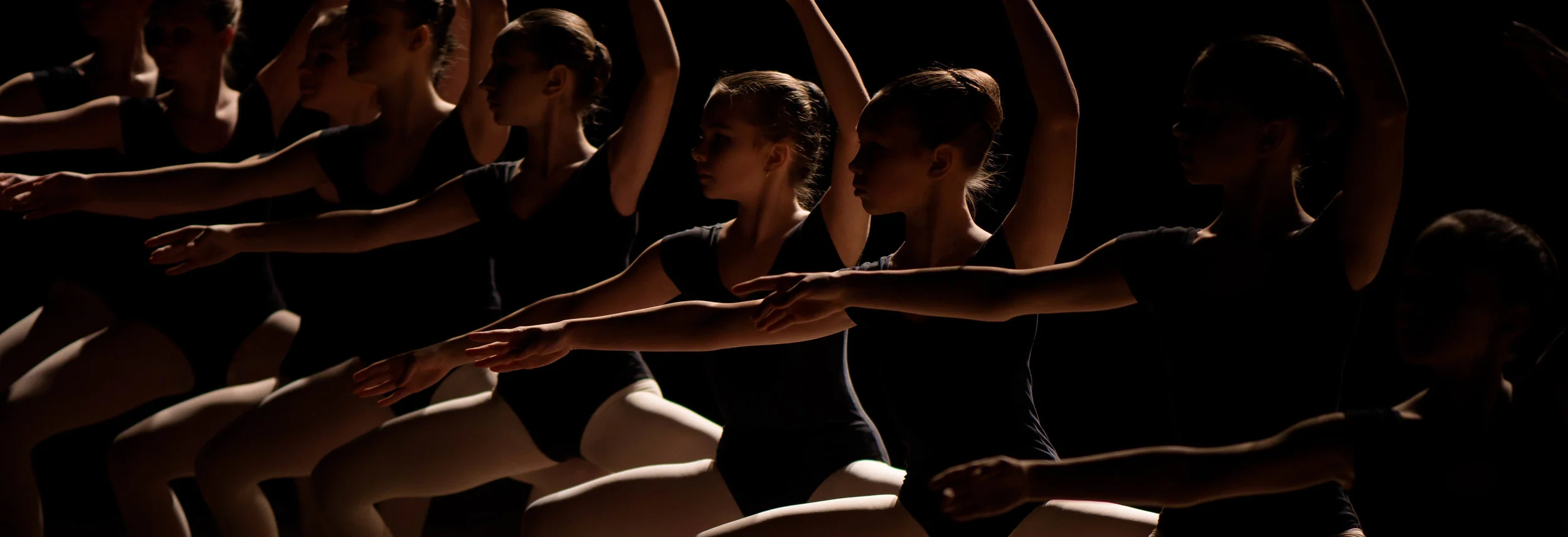 Contact — Shreveport Metropolitan Ballet