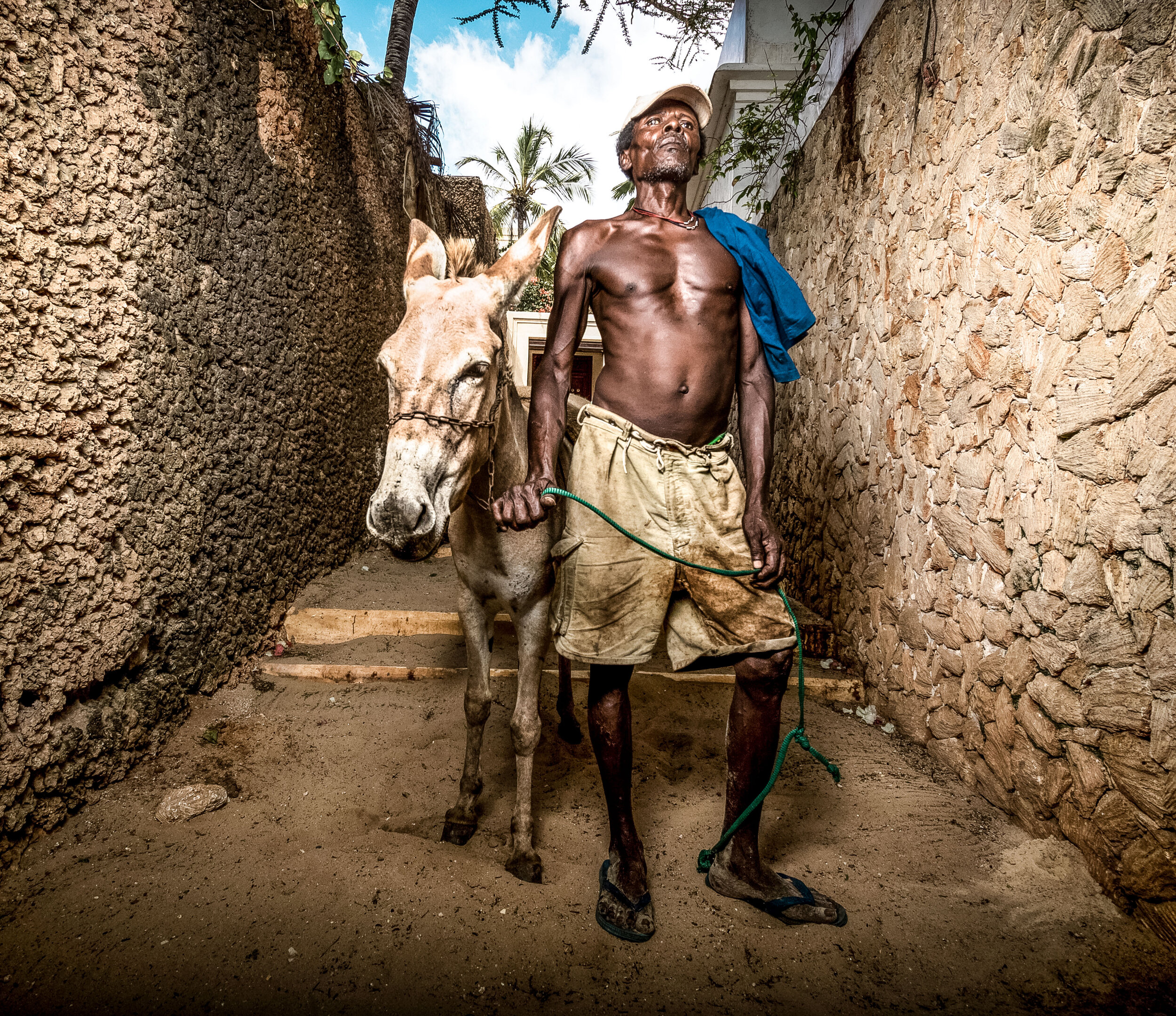 Lamu Donkey man (1 of 1).jpg
