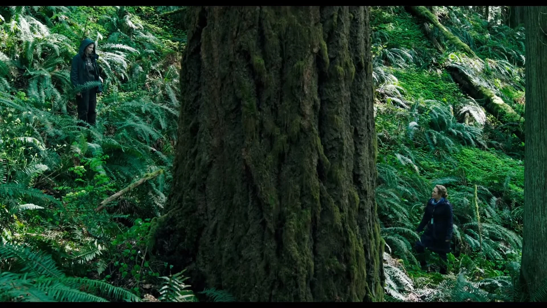 LeaveNoTrace_2.jpg