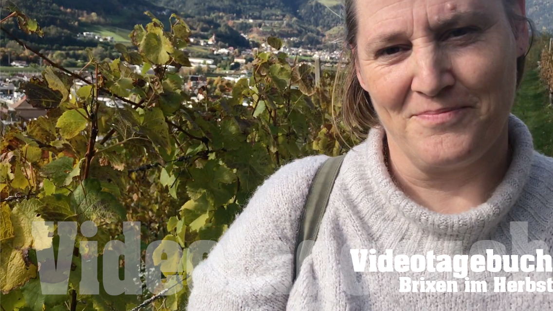 30 Videotagebuch - Heute: Weinberge im Herbst