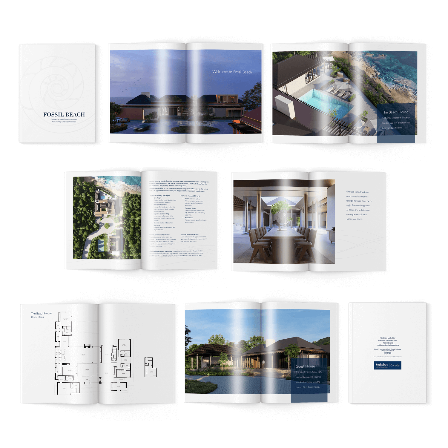 Fossil Beach Spread T.png