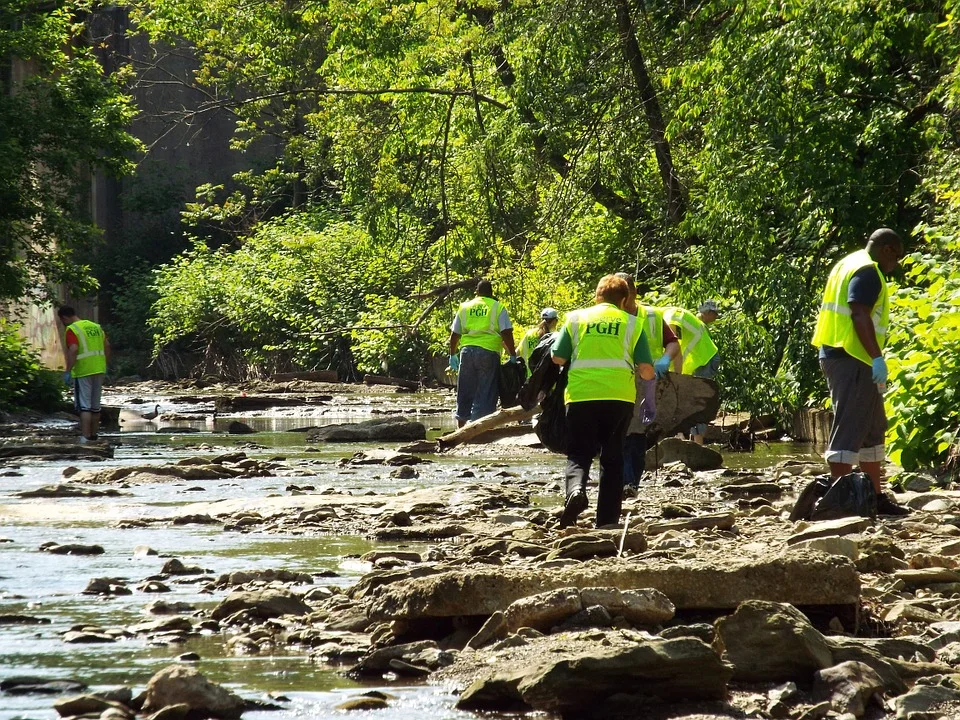 Cleanup-Creek-Stream-Water-Scenic-Environment-342708.jpg