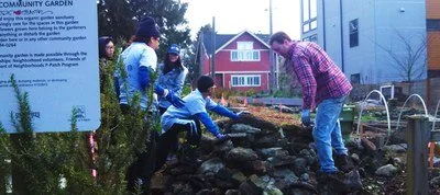 Hard at work at the Judkins P-patch