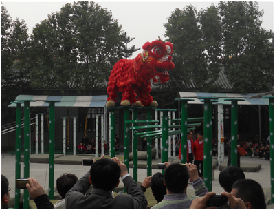 Lion Dance