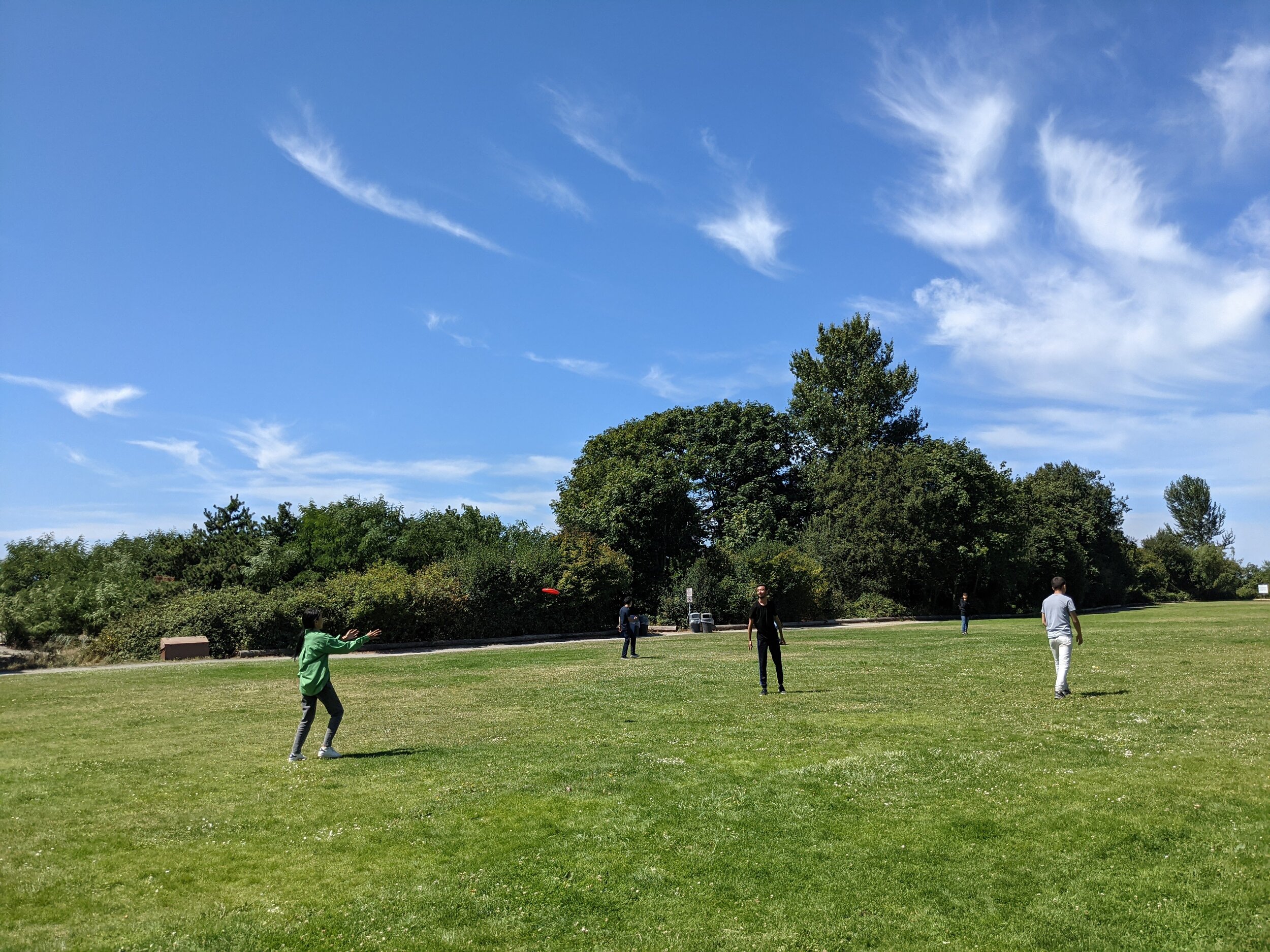 Learning to play frisbee and American football after a picnic lunch at the beach