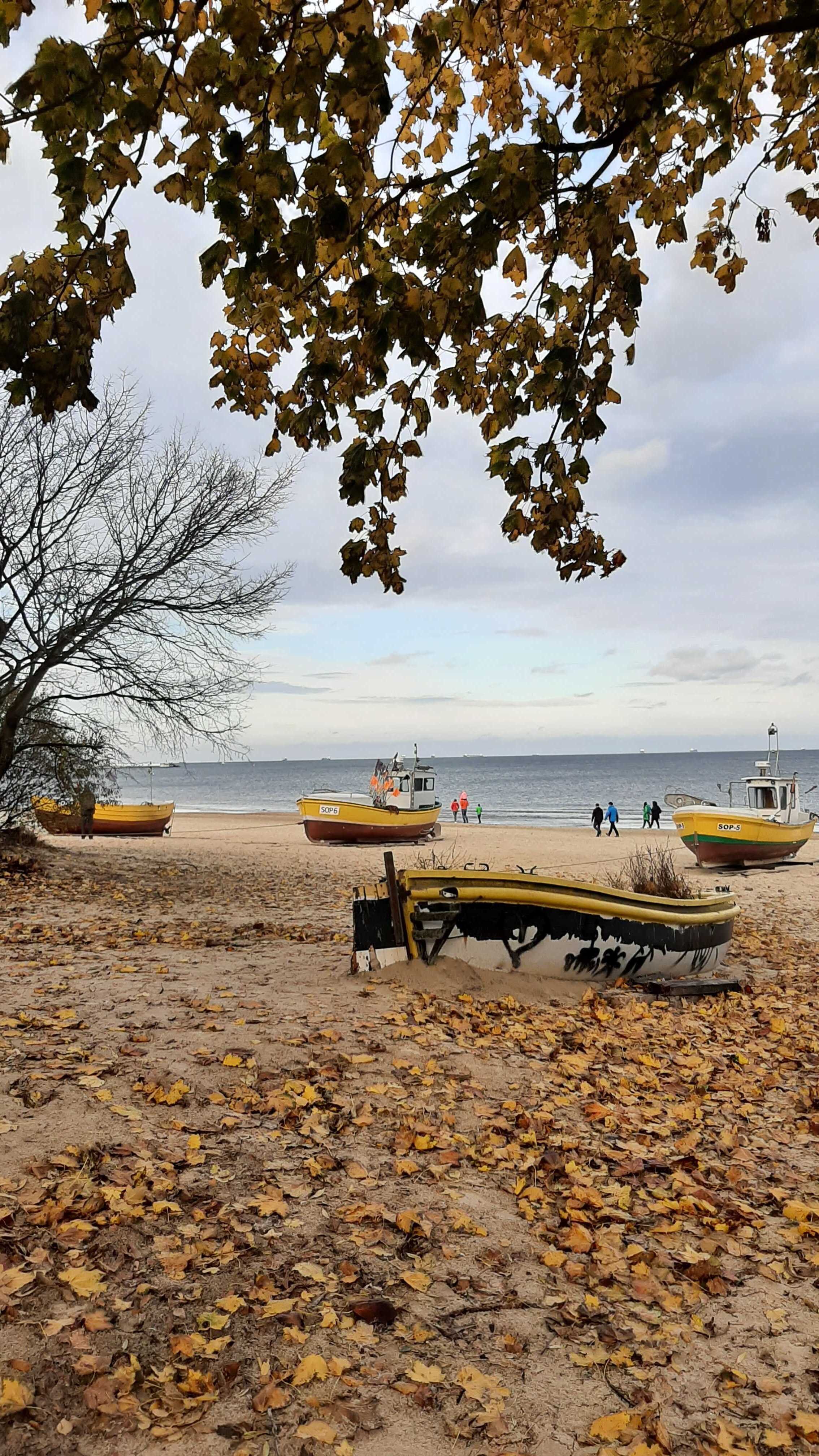 Poland Scenic Photo by Wanda Heydel