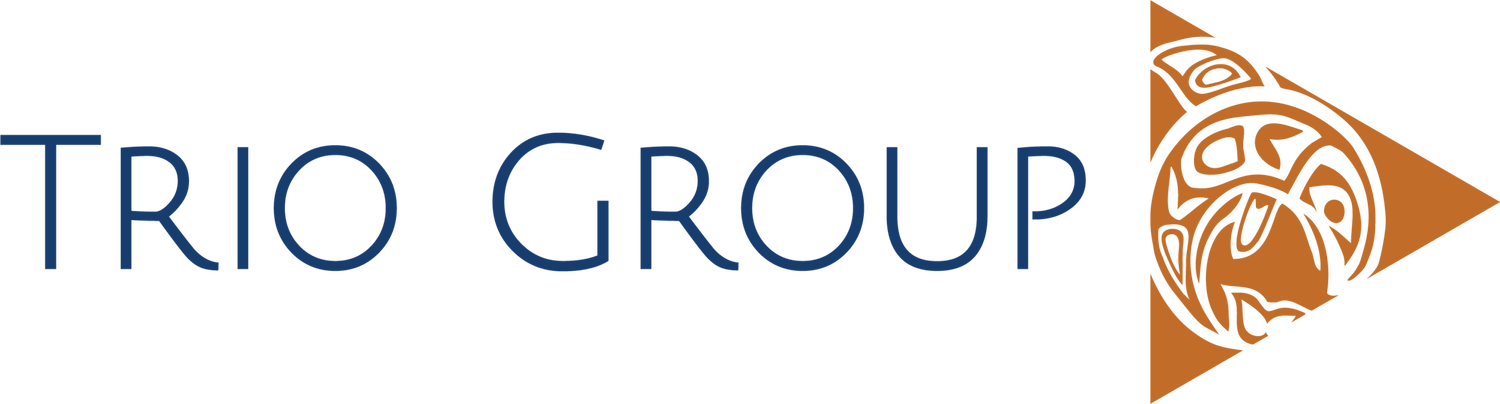 Trio+Group+Logo+2015+PMS-01.png.webp