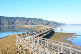 Hidden Gems, According to the FIUTS Board of Trustees