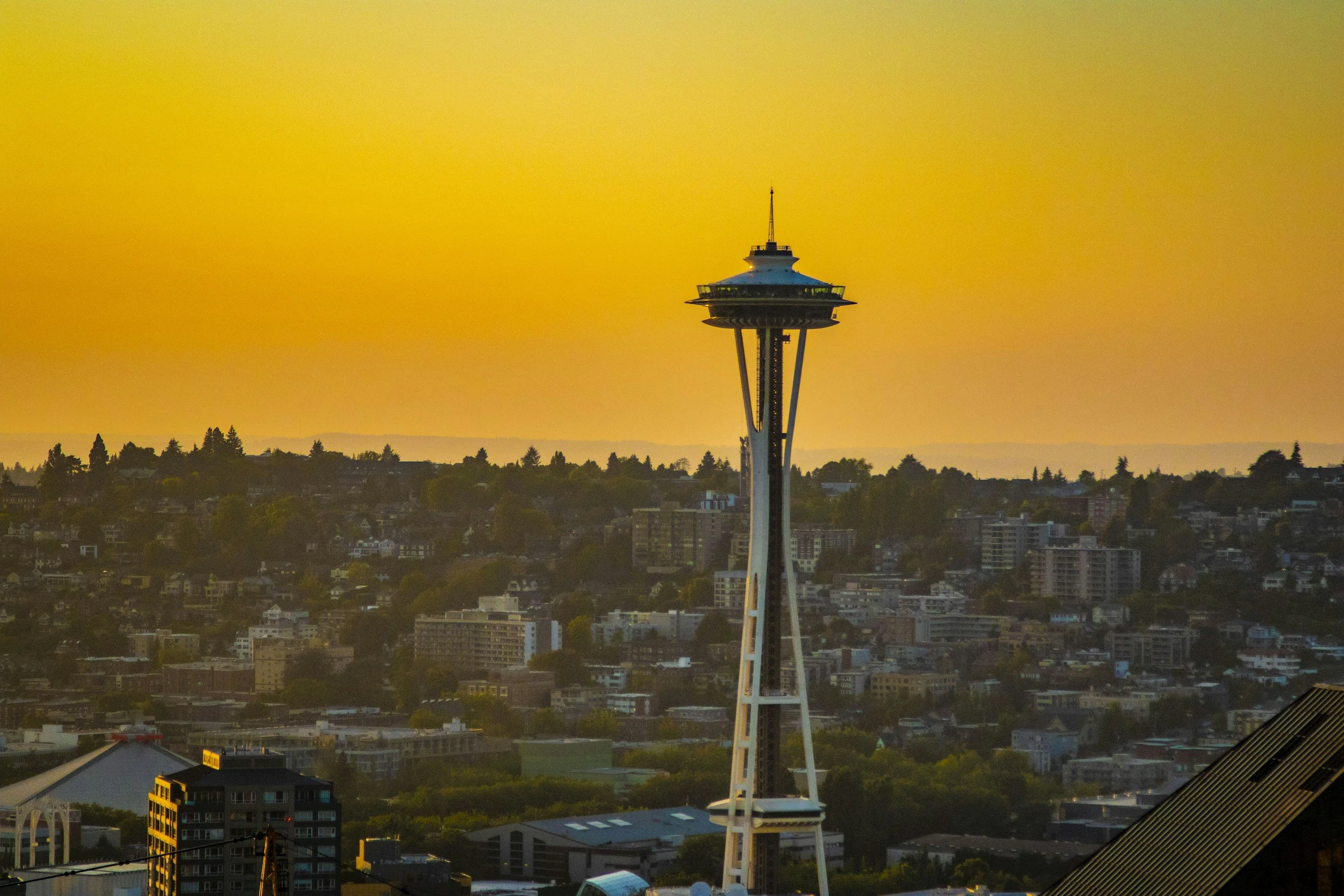 A Global Food Tour of Seattle: 22 Board Recommended Favorites
