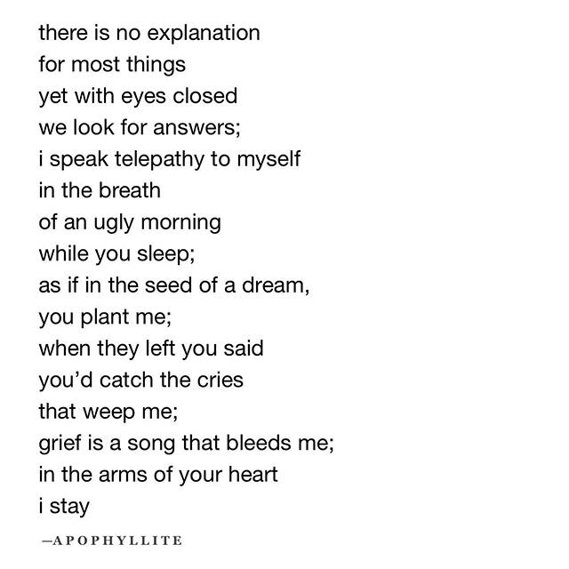 &bull;
&bull; @heidi_scaravilli today I am grieving the loss of my precious nieces, Scout and Chasey. &bull;
&bull;
&bull;
all artwork and photography by my partner, Katrin Luca Hein &bull;
&bull;
#scoutandchasey #spiritualjourney #poetry #poetsofins