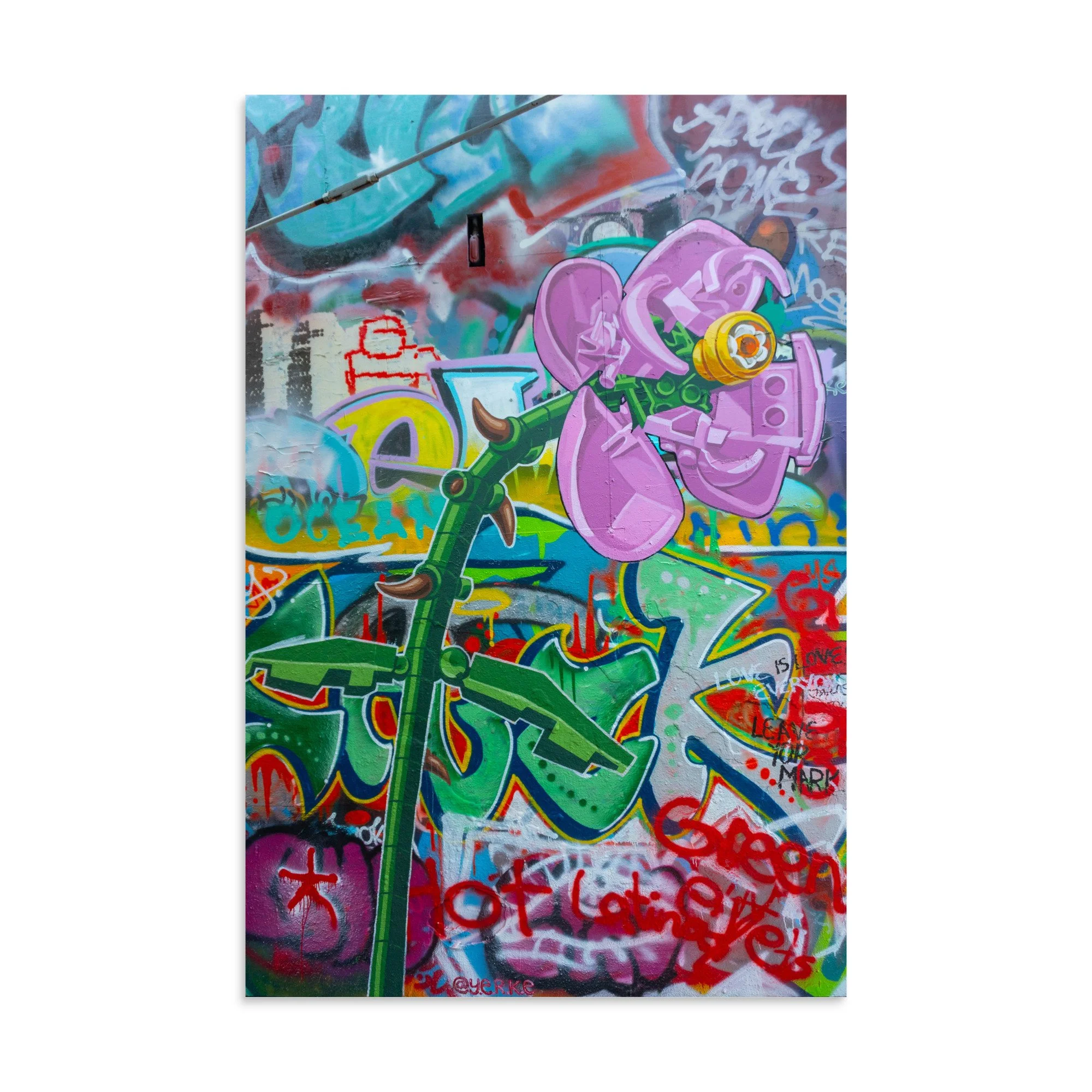 enhanced-matte-paper-poster-(in)-16x24-front-6aa446db5a696.jpg