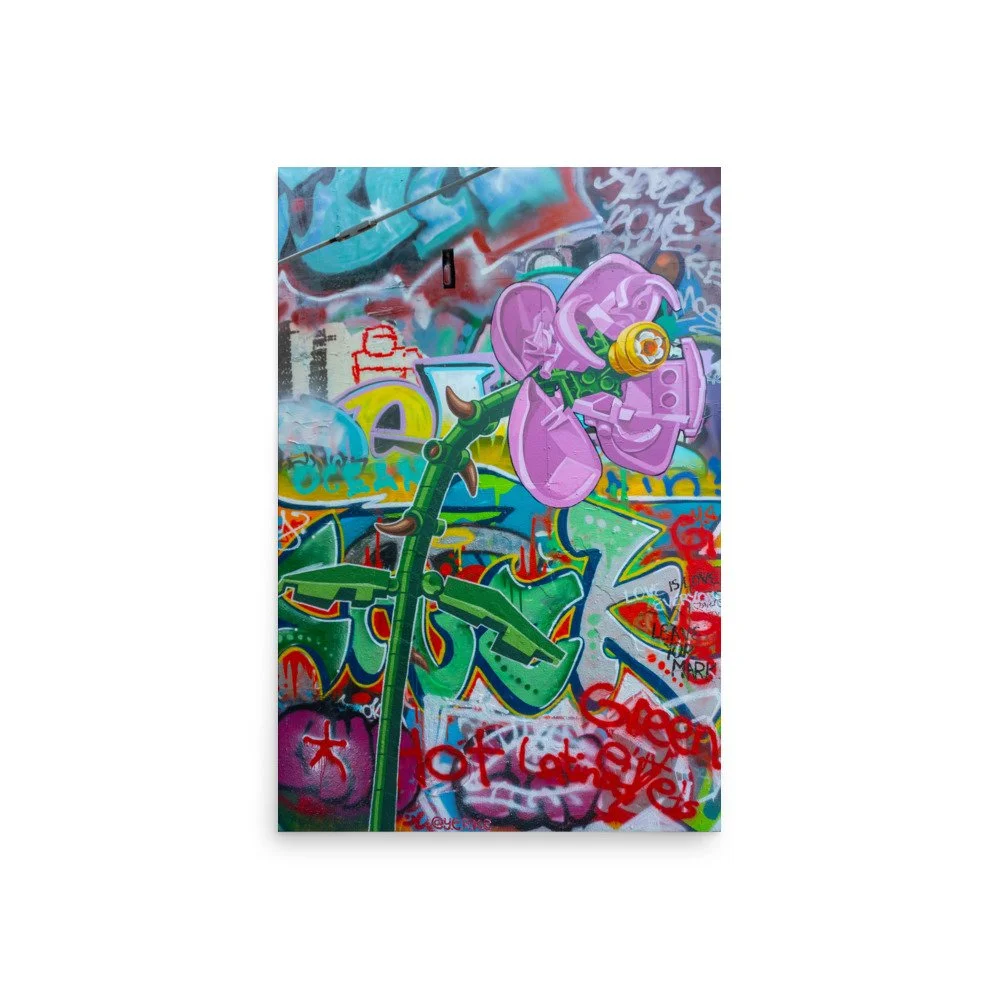 enhanced-matte-paper-poster-(in)-20x30-front-6aa446db5a6b7.jpg