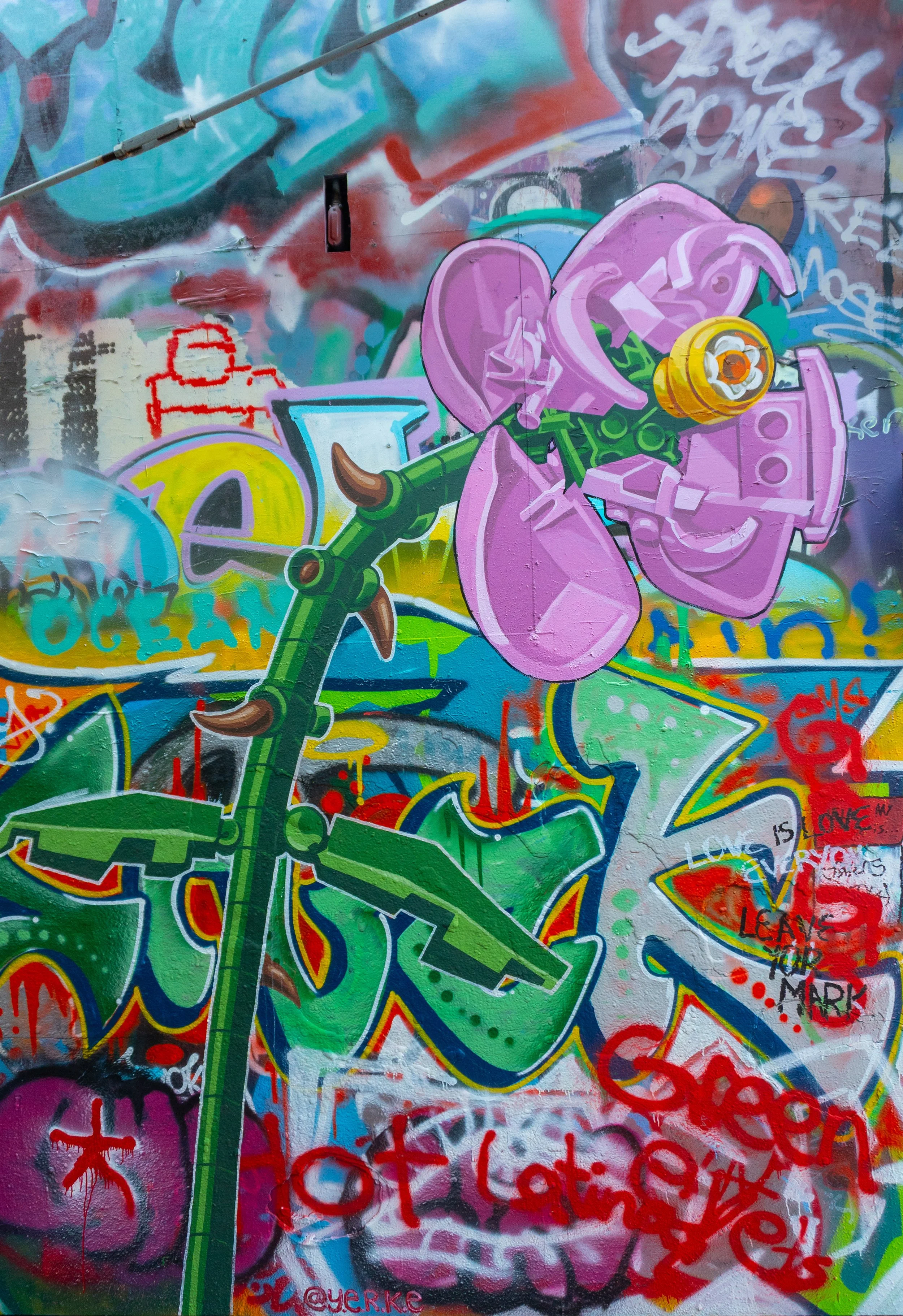 flower 1.jpg