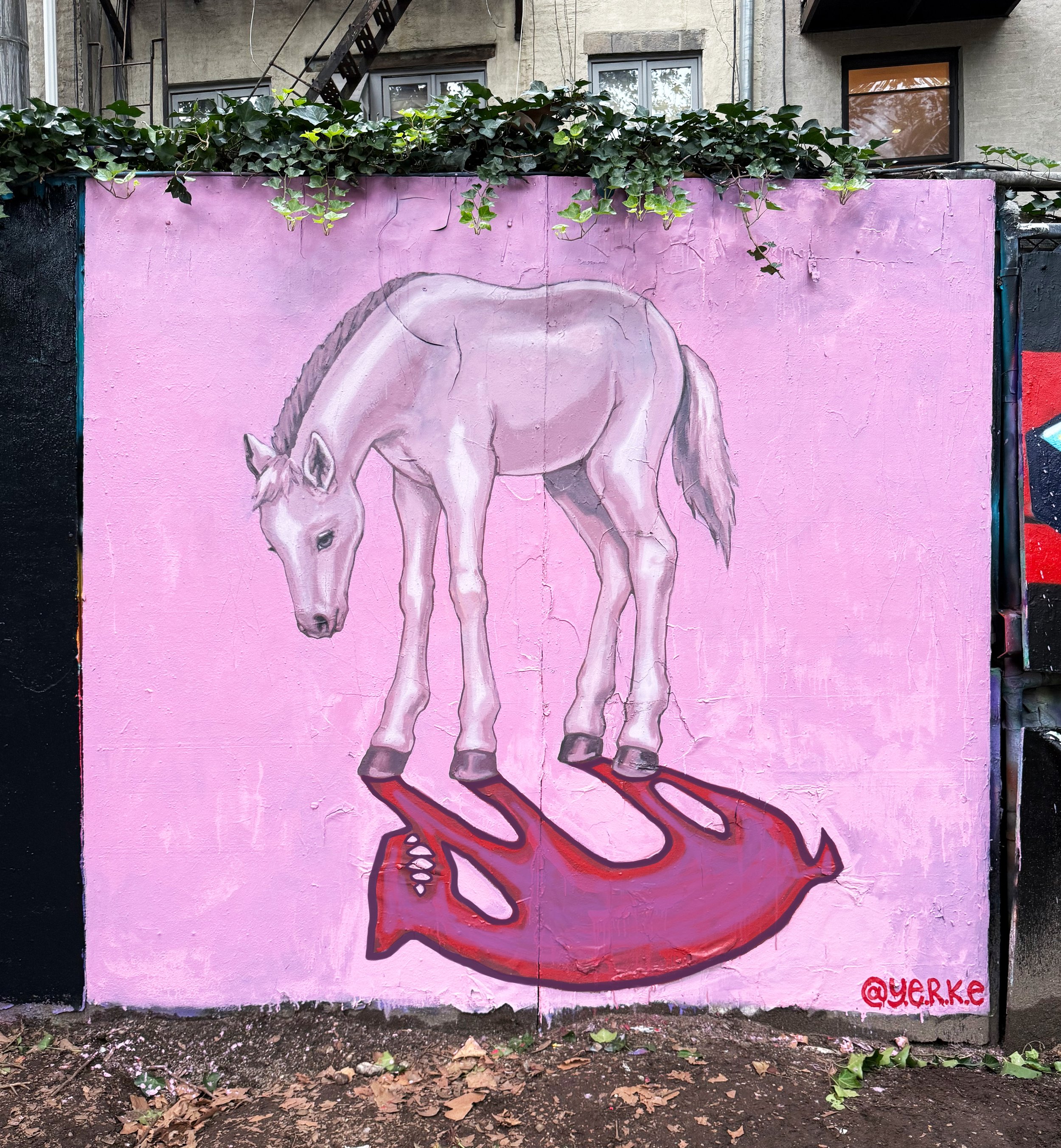 pony.jpg