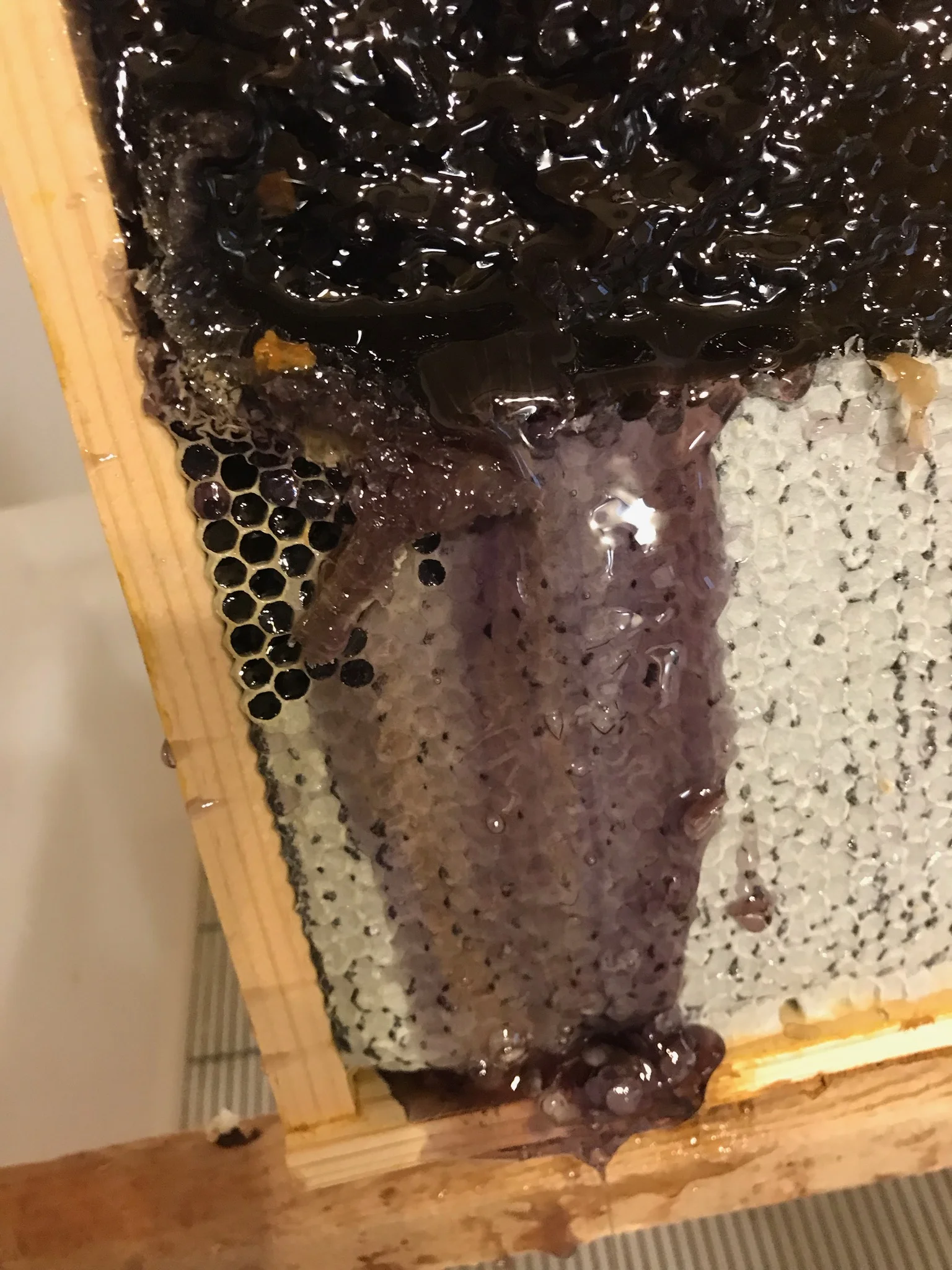 purplehoneycomb_harvest2018.jpg