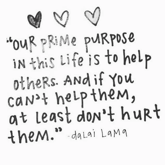 A little thought for the weekend 🕊💙