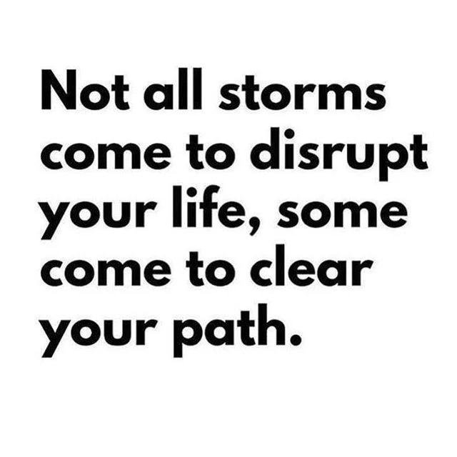 Allow yourself to feel the highs &amp; lows. They&rsquo;ll teach us something 🕊 let&rsquo;s bend so we don&rsquo;t break 🙏🏼