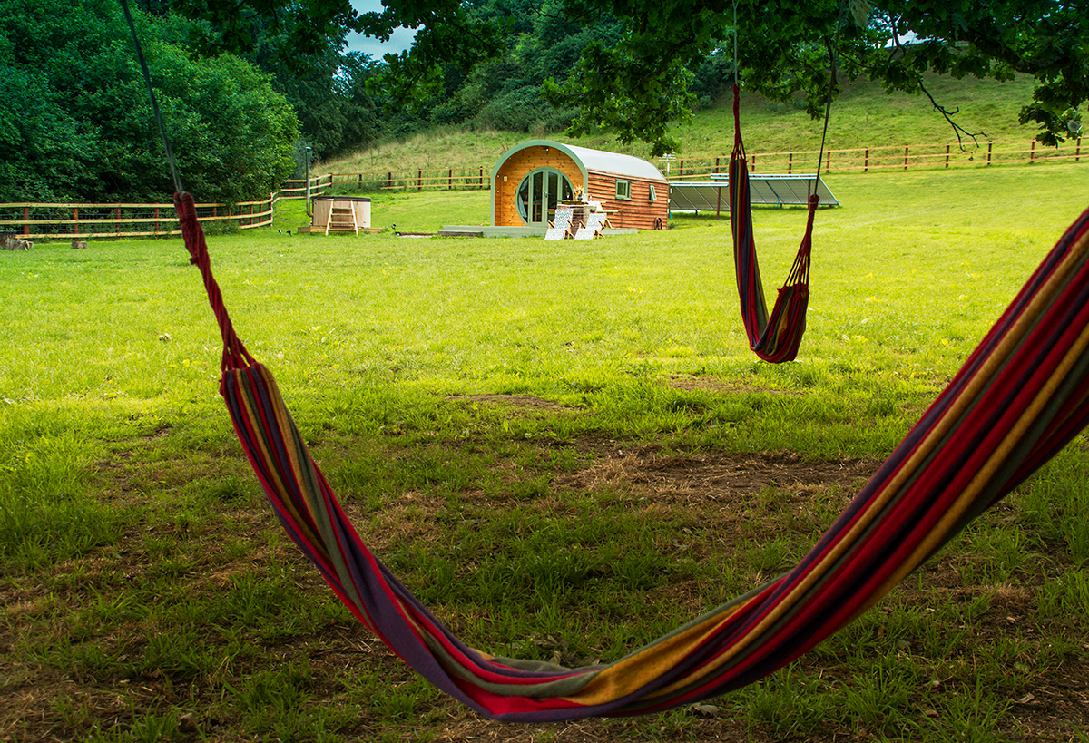 Hidden Wood - Hammocks in tree.jpg