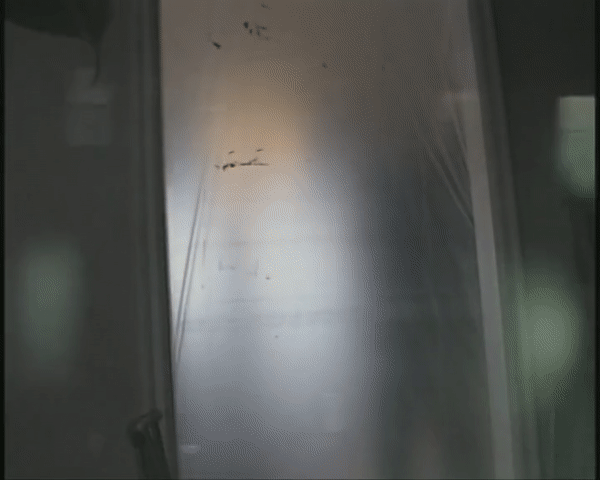 ezgif.com-video-to-gif (2).gif