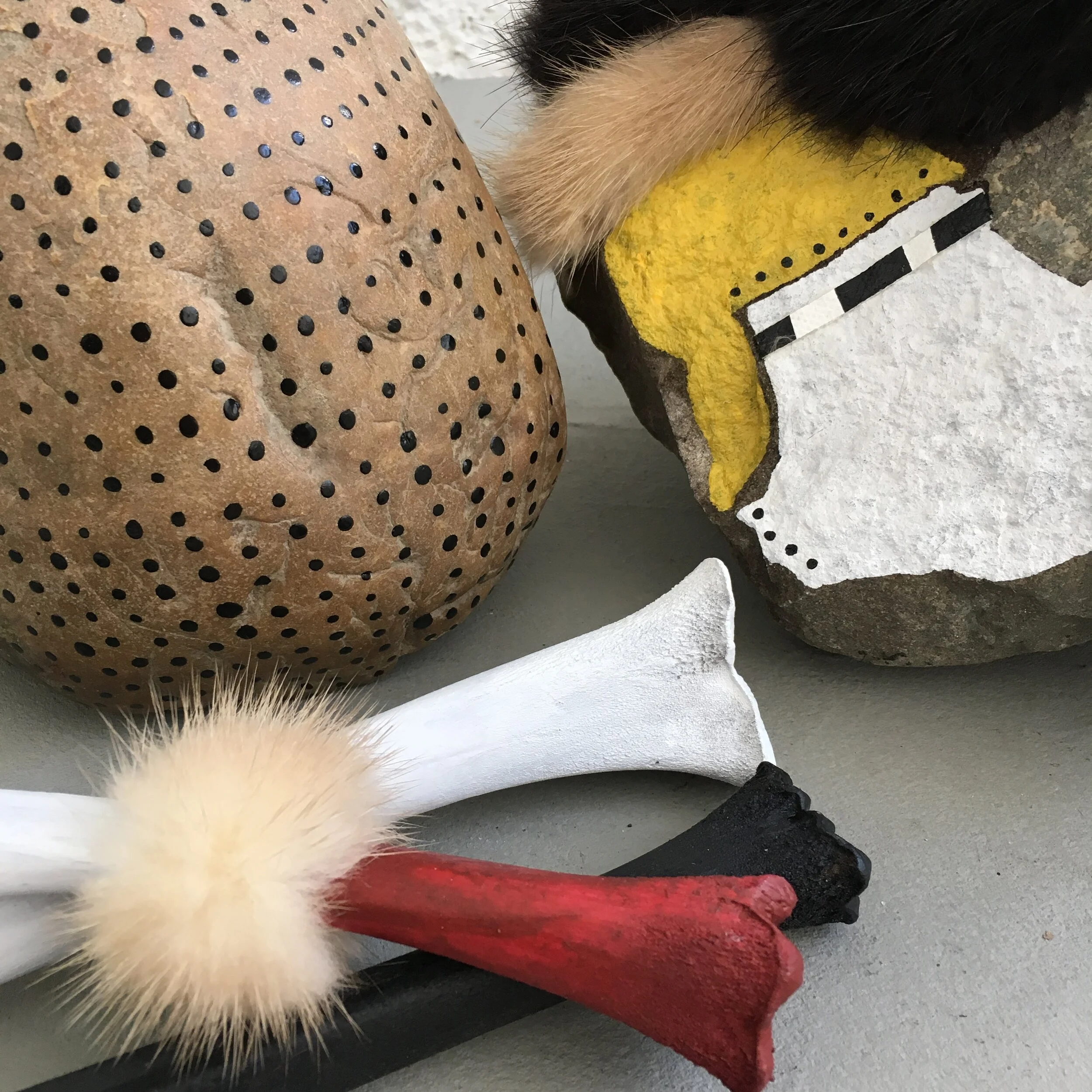Elisa Pritzker_SelknamStones and bones_close-up.JPG