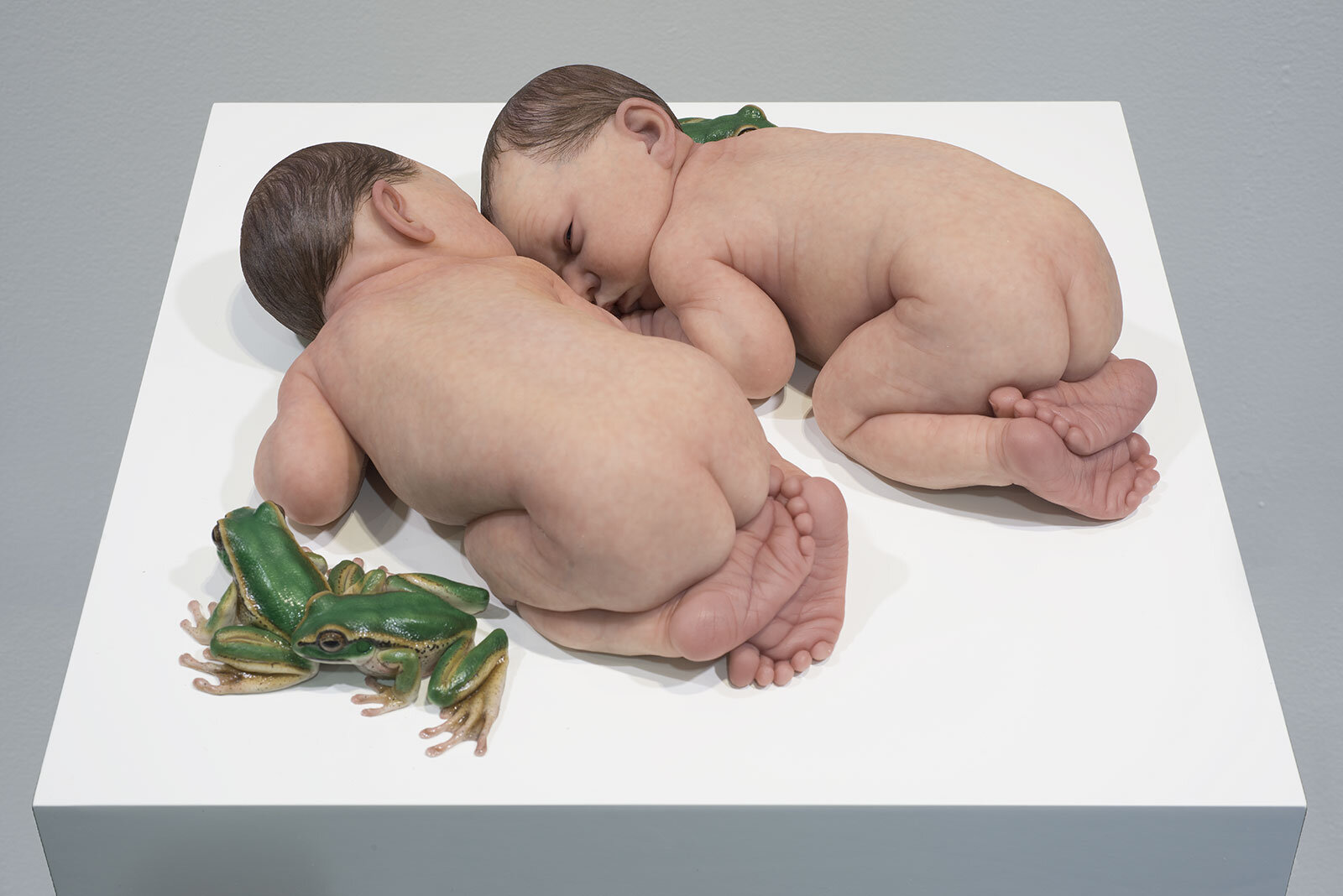 Sam Jinks - Untitled (Babies with Frogs)