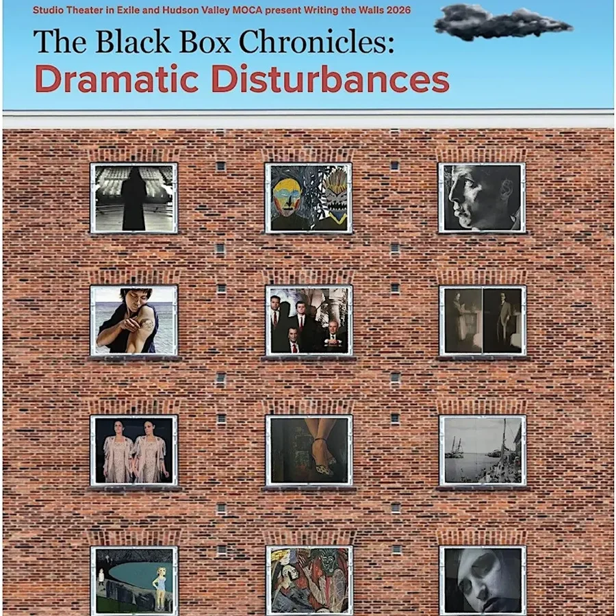 Black Box Chronicles: Dramatic Disturbance
