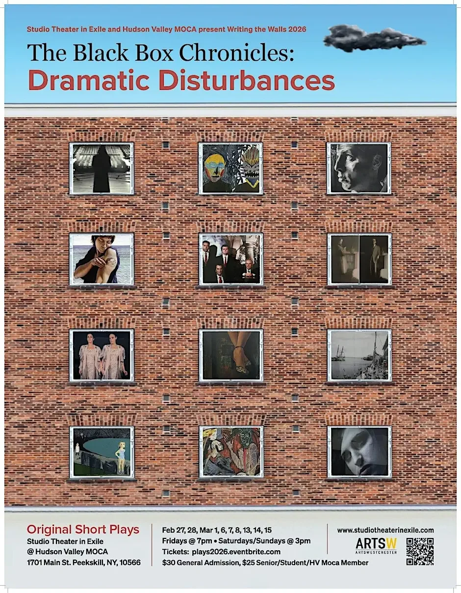 Black Box Chronicles - Dramatic Disturbances