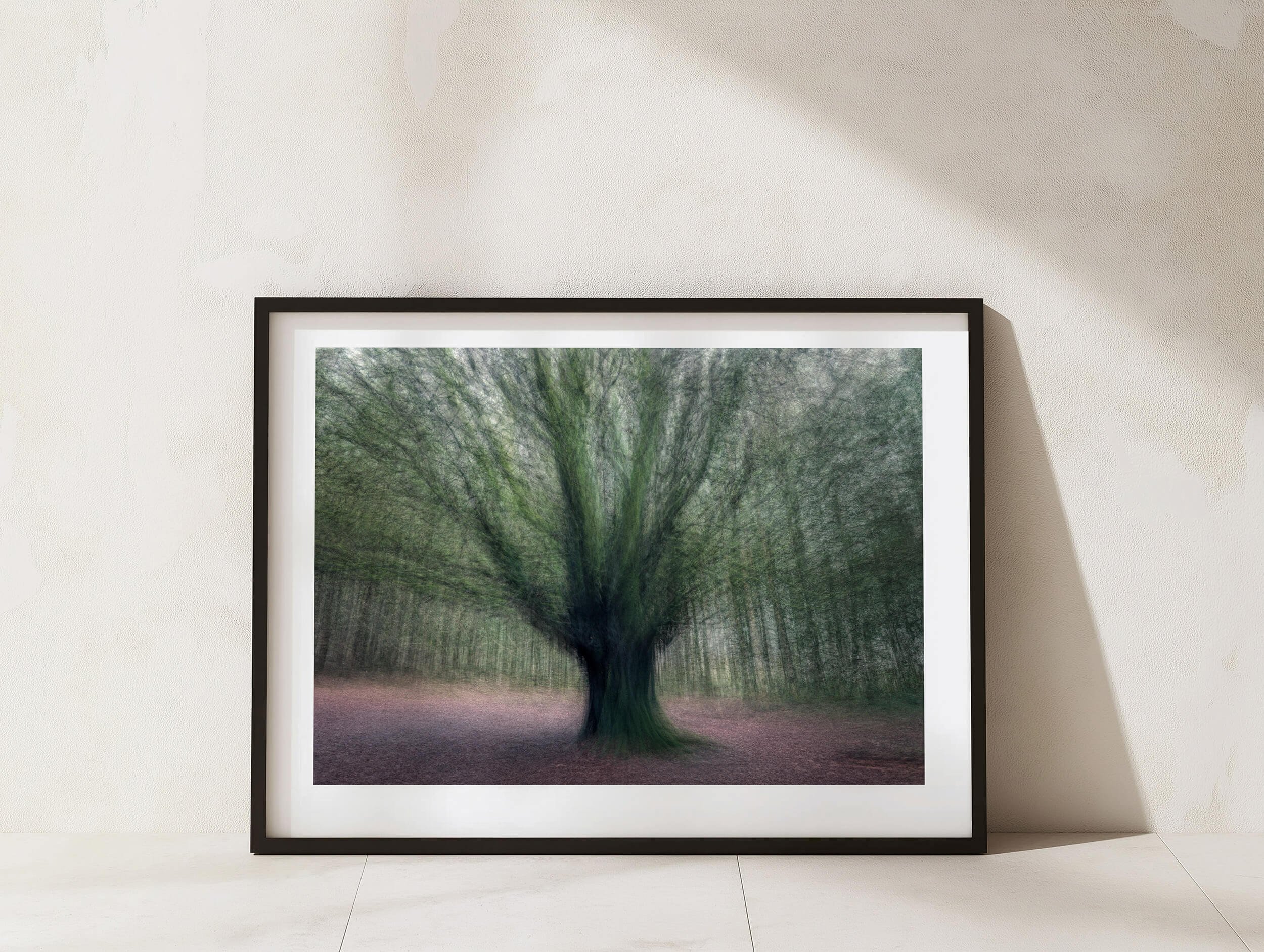 Framed Print Sample.jpg