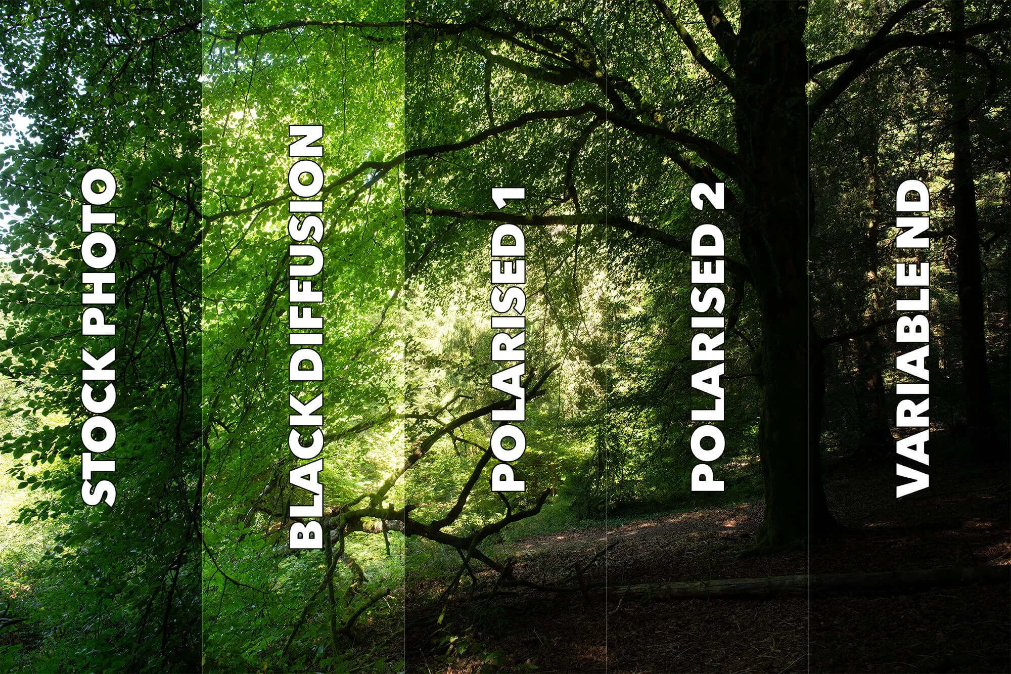 Samples Thumbnail.jpg