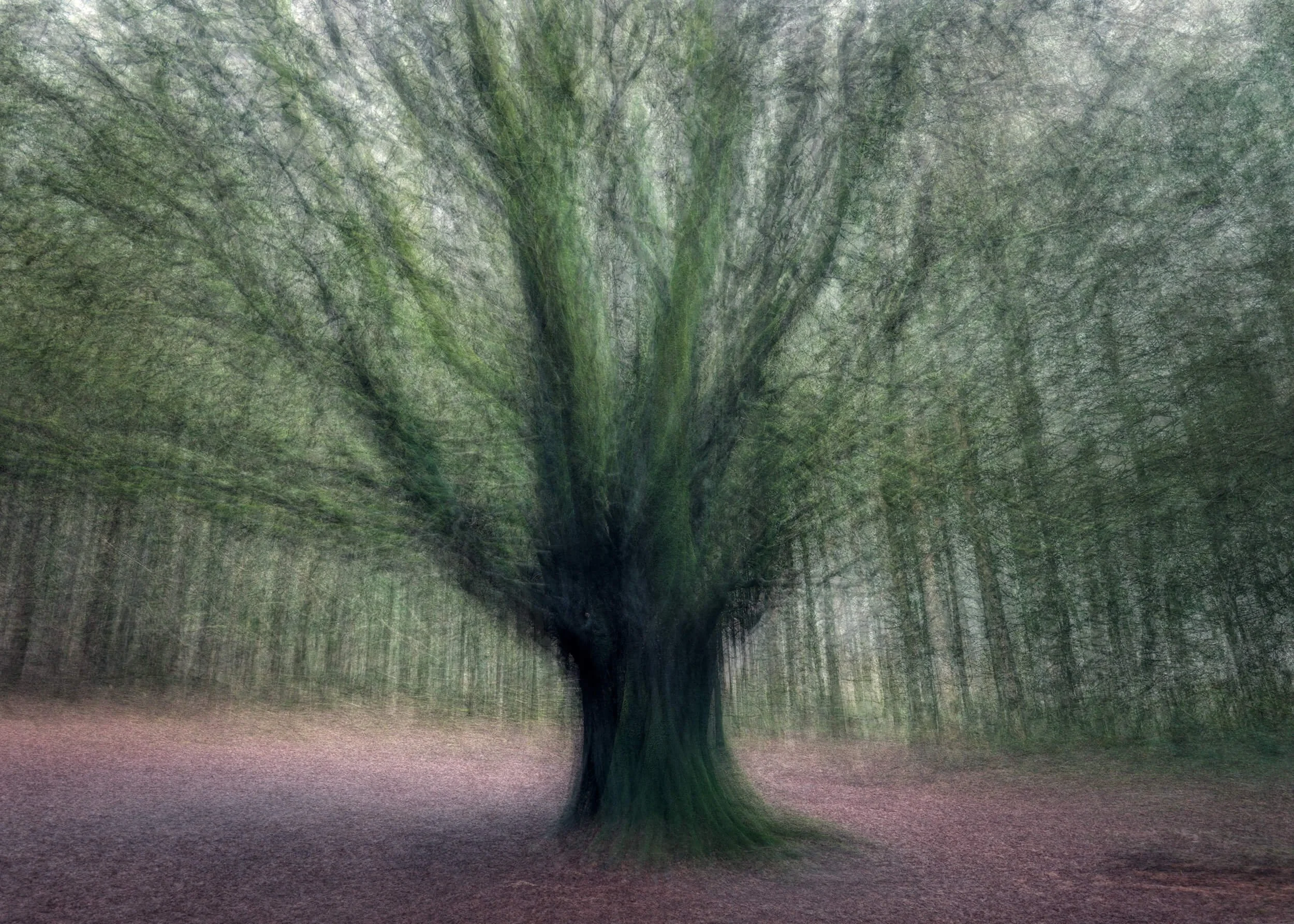 In The Round Photography | Fine Art Impressionist Landscapes by Mike Earl