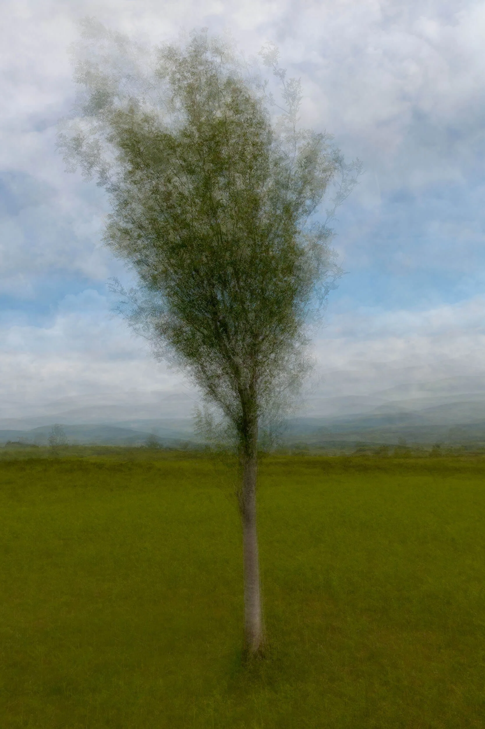 A solitary tree stands quietly against an open sky, its delicate form softened through layers of movement and light. Set within a simple upland landscape, the scene is transformed into a gentle and atmospheric study of stillness, space and presence.
