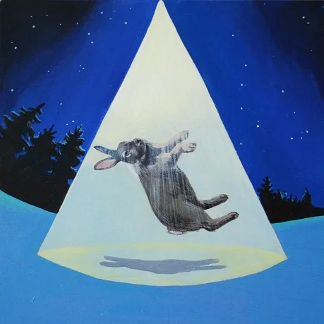 Abduction