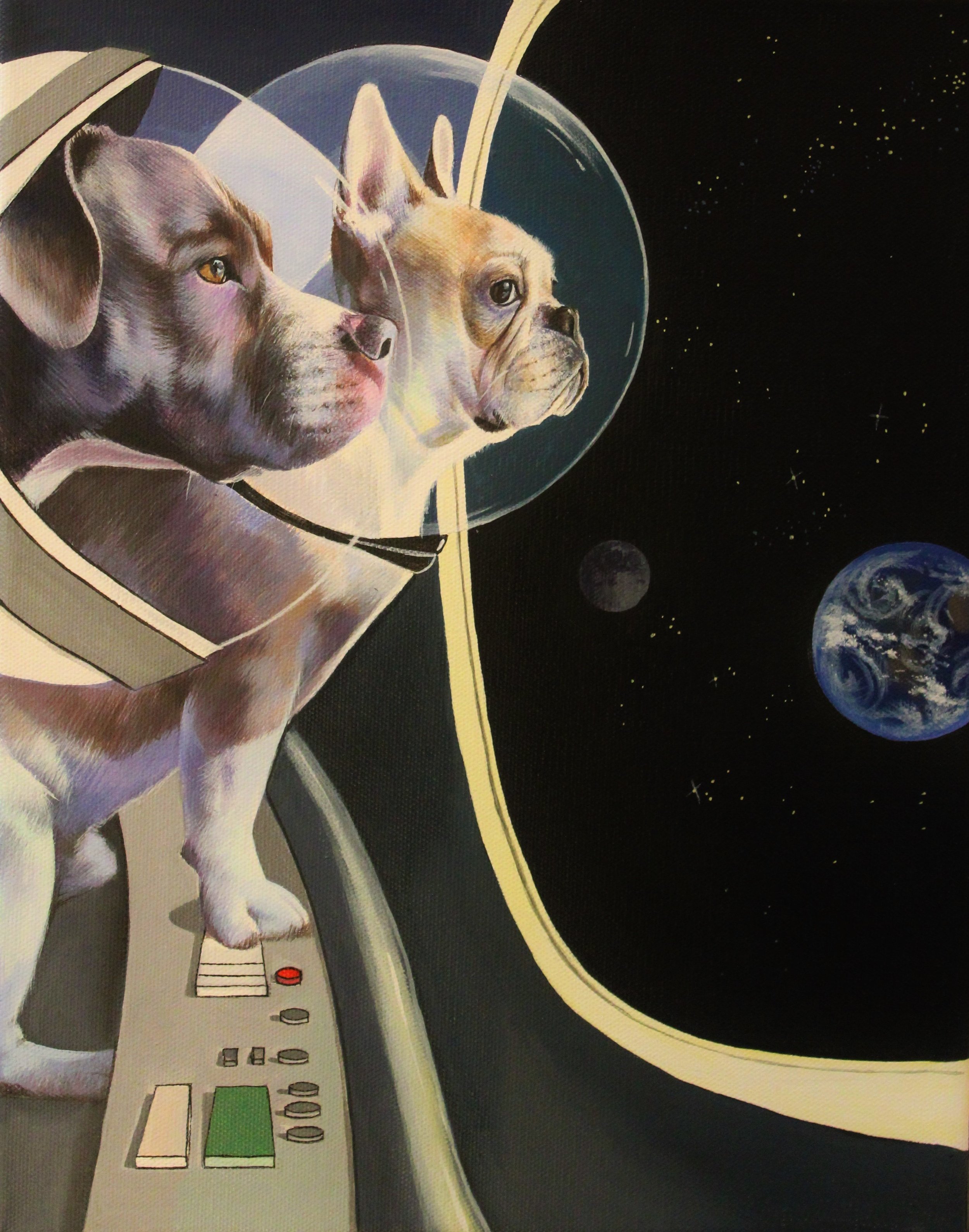 Space Dogs.JPG