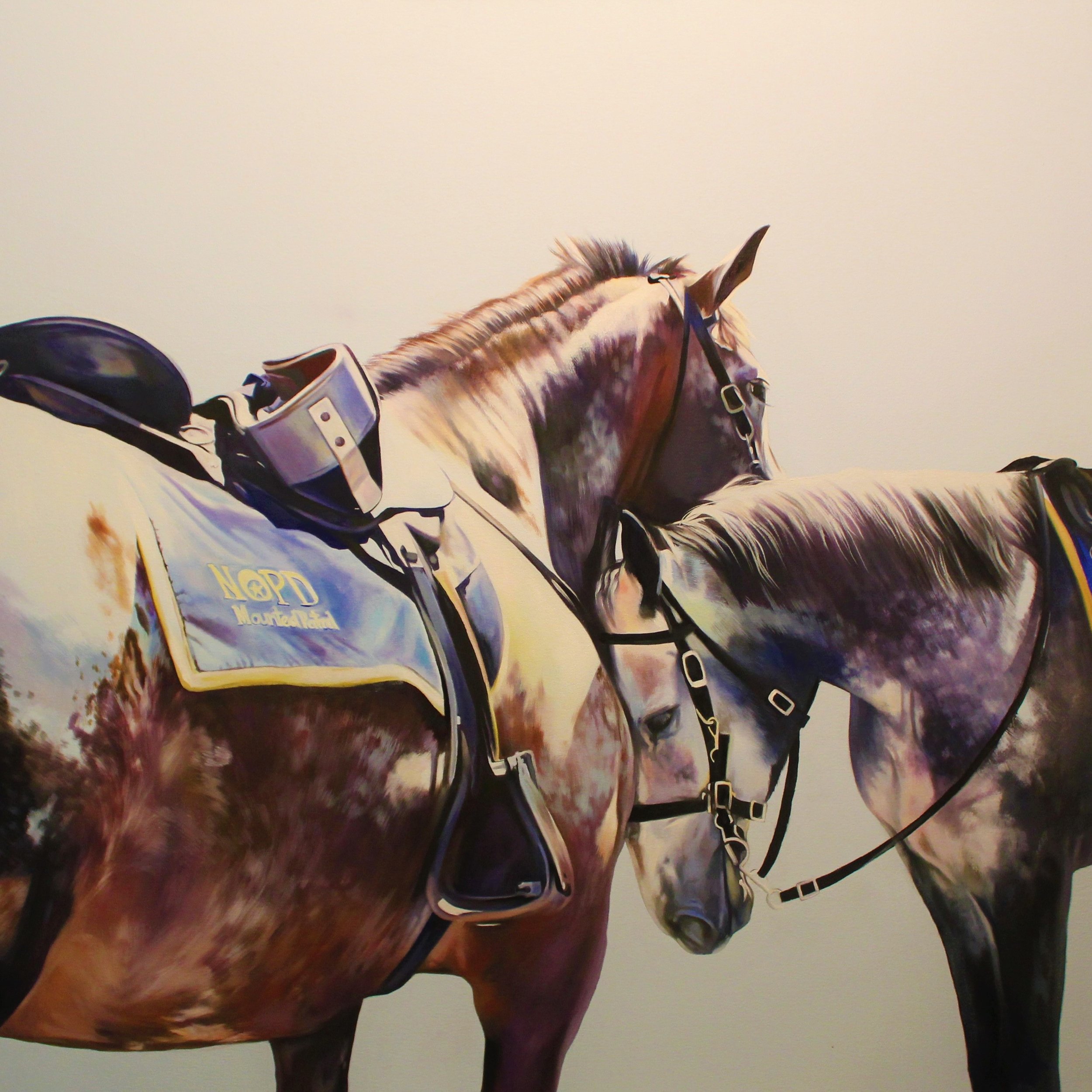 New Orleans Police Department Mounted Patrol Horses