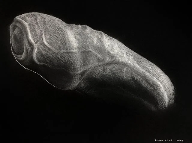 White pencil on black paper