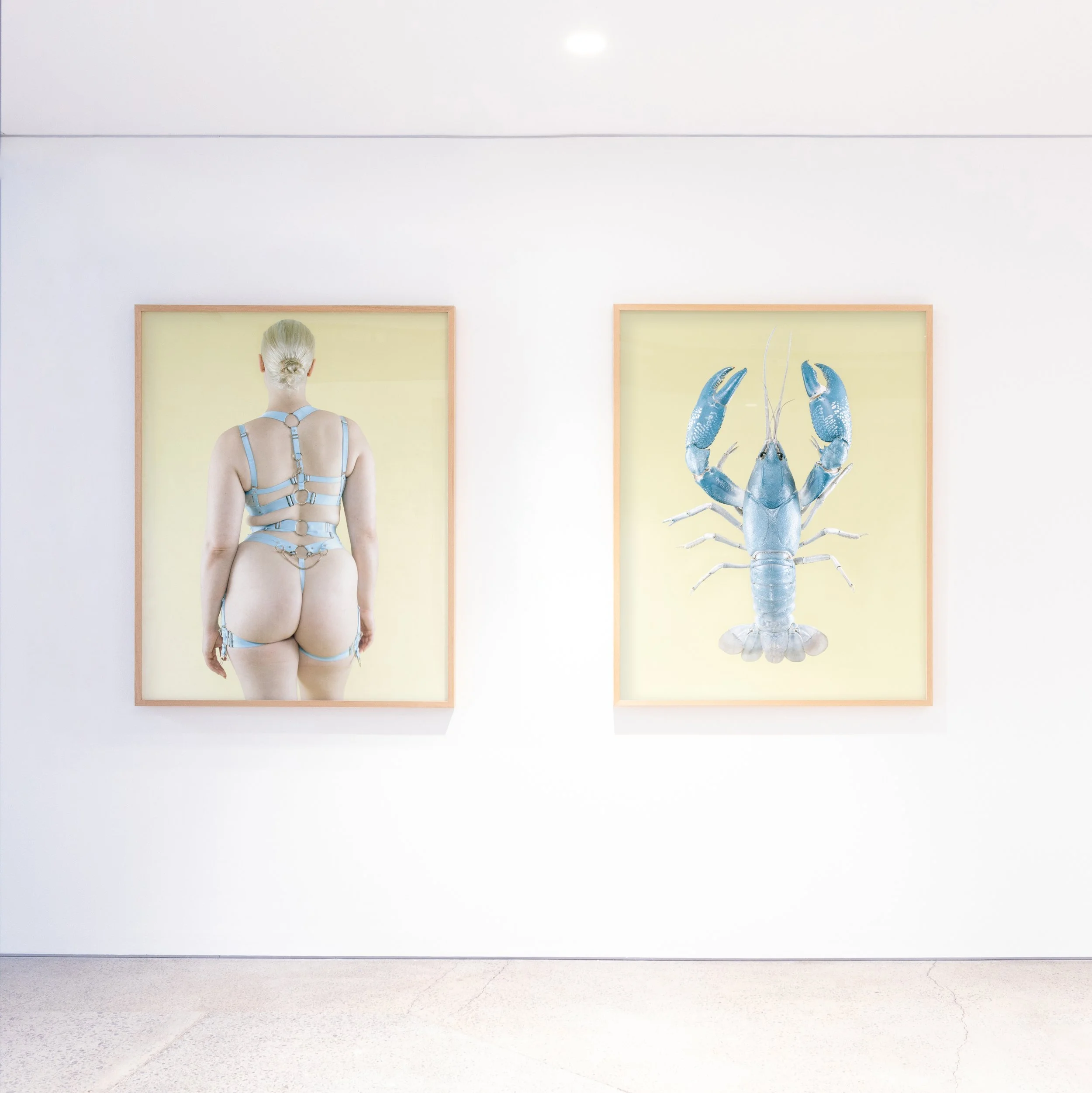 Armour diptych, 2023, 120x95cm