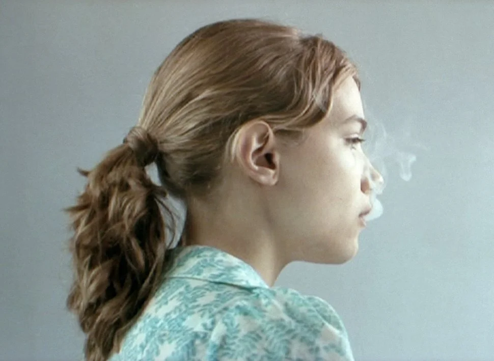 Ghost in the Shell, 2008, SD Video, 4 min loop